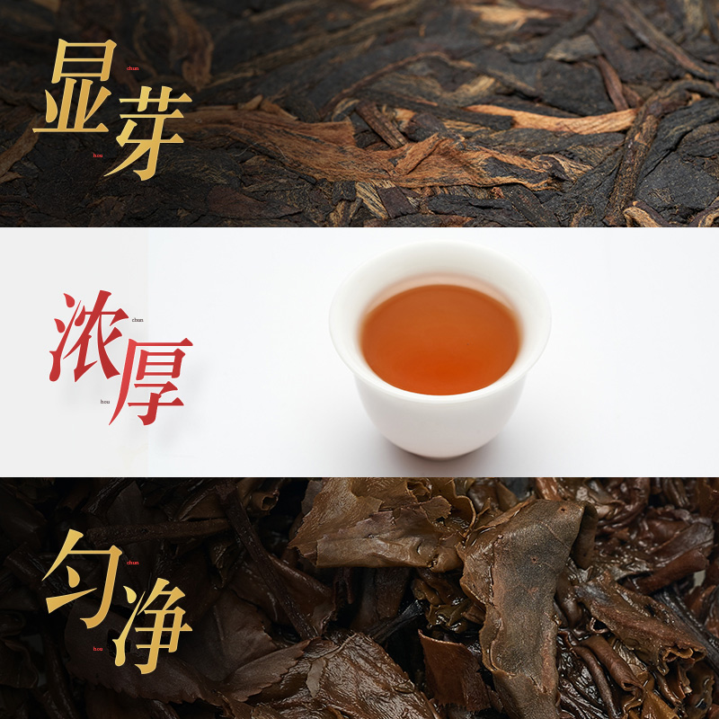 帮隆勐海青砖2012普洱茶生茶特级8年陈年老茶盒装500g茶砖