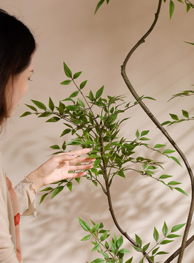 韵境家居仿真绿植高端轻奢室内植物盆栽南天竹假树简约原木风装饰