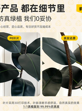 仿真绿植黑金刚橡皮树室内客厅电视柜边高级感中古风装饰落地盆栽