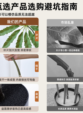 大型仿真孔雀木假树侘寂风室内客厅落地盆栽高级感仿生装饰绿植