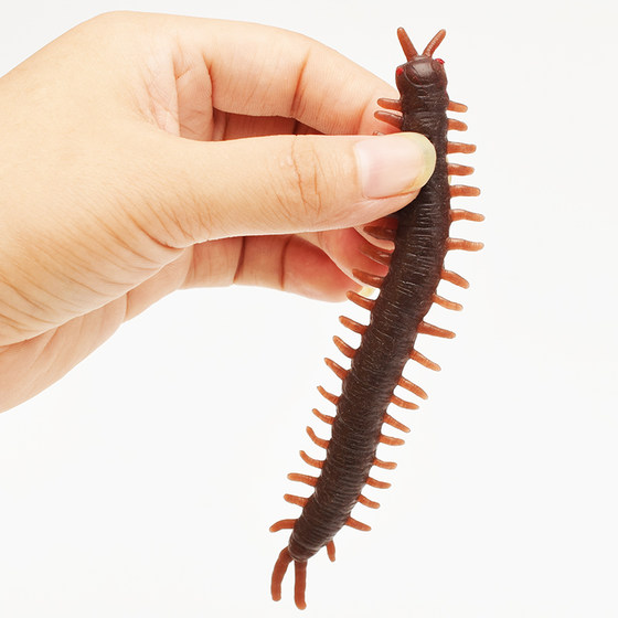 Simulated animal scary soft rubber spider lizard