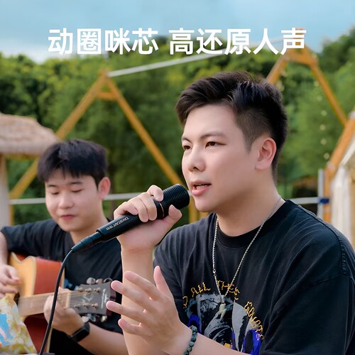 得胜DM103有线动圈麦克风直播K歌家庭会议户外舞台唱歌演出话筒 - 图0