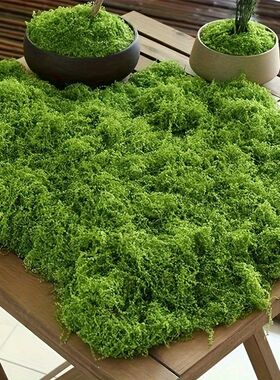 Green Fake Moss DIY Crafts Grass Artificial Moss Faux Preser