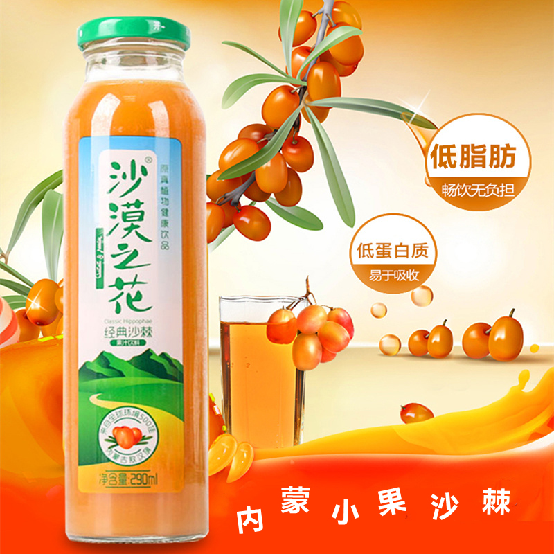 内蒙古沙漠之花低脂沙棘饮料瓶装果味饮料