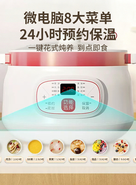 天际不锈钢家用电炖锅煲汤