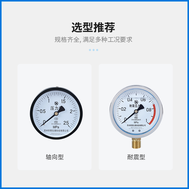 Y100 1.0MPa 弹簧管压力表 DN15/4分接头 水压表 气压表 苏州轩胜 - 图2