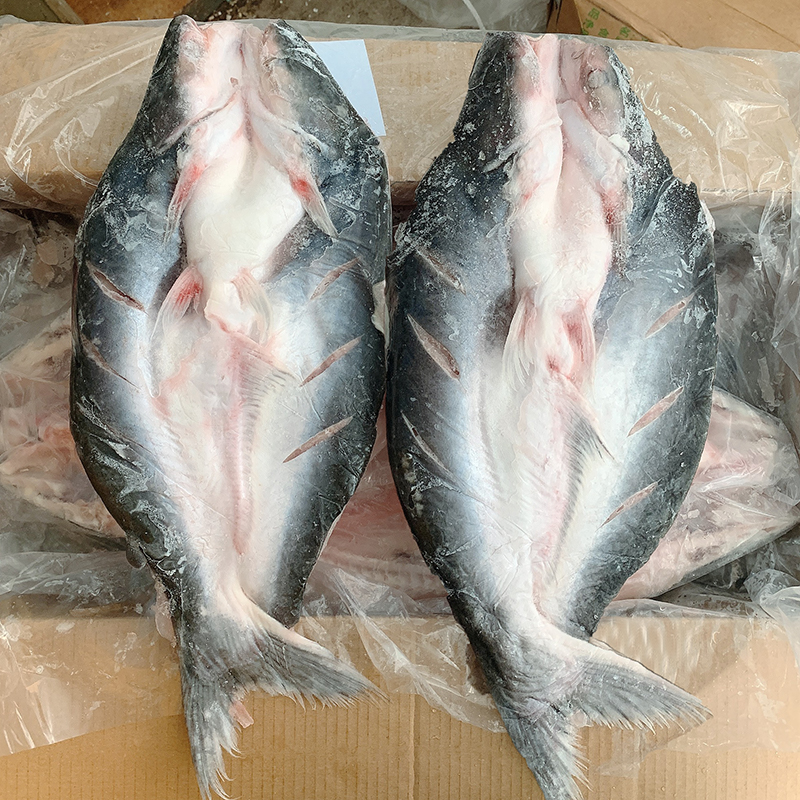 开背巴沙鱼湄公鱼整箱20斤干冰开背鱼整条新鲜冷冻龙利鱼商用烤鱼 - 图3