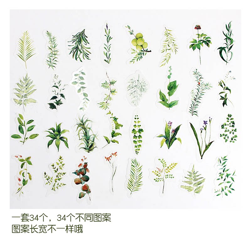 清新植物贴纸包34枚入绿叶树叶素材手帐日记创意diy装饰贴画套装_虎窝淘