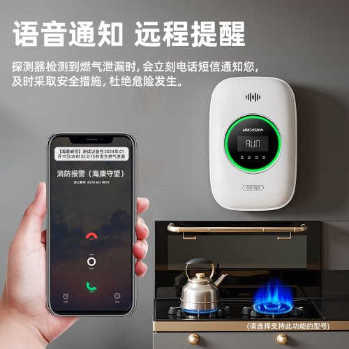 海康威视燃气报警器餐饮厨房一氧化碳家用天然气防泄漏煤气报警器 - 图2