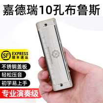 JDR Gardenery Blues Blues ten Harmonies Harmonica 10 Holes C North Beginner Playing Grade Paddis