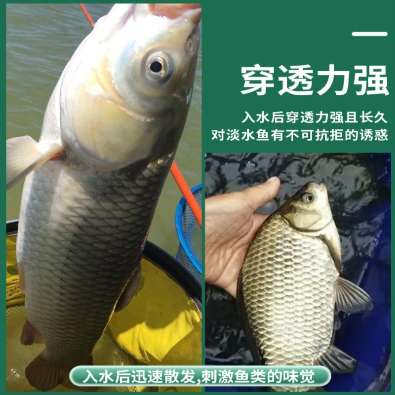 多巴盐饥饿促食信息素冬季野钓鱼小药诱食添加剂鲫鲤草鱼开口神器,淘宝优惠券,粉丝福利购,淘宝优惠卷