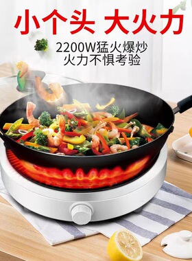 110v伏电磁炉电陶炉美国日本