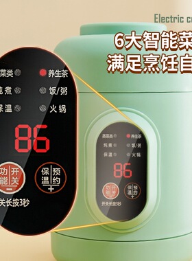 110v电煮锅电饭锅美国日本墨西哥