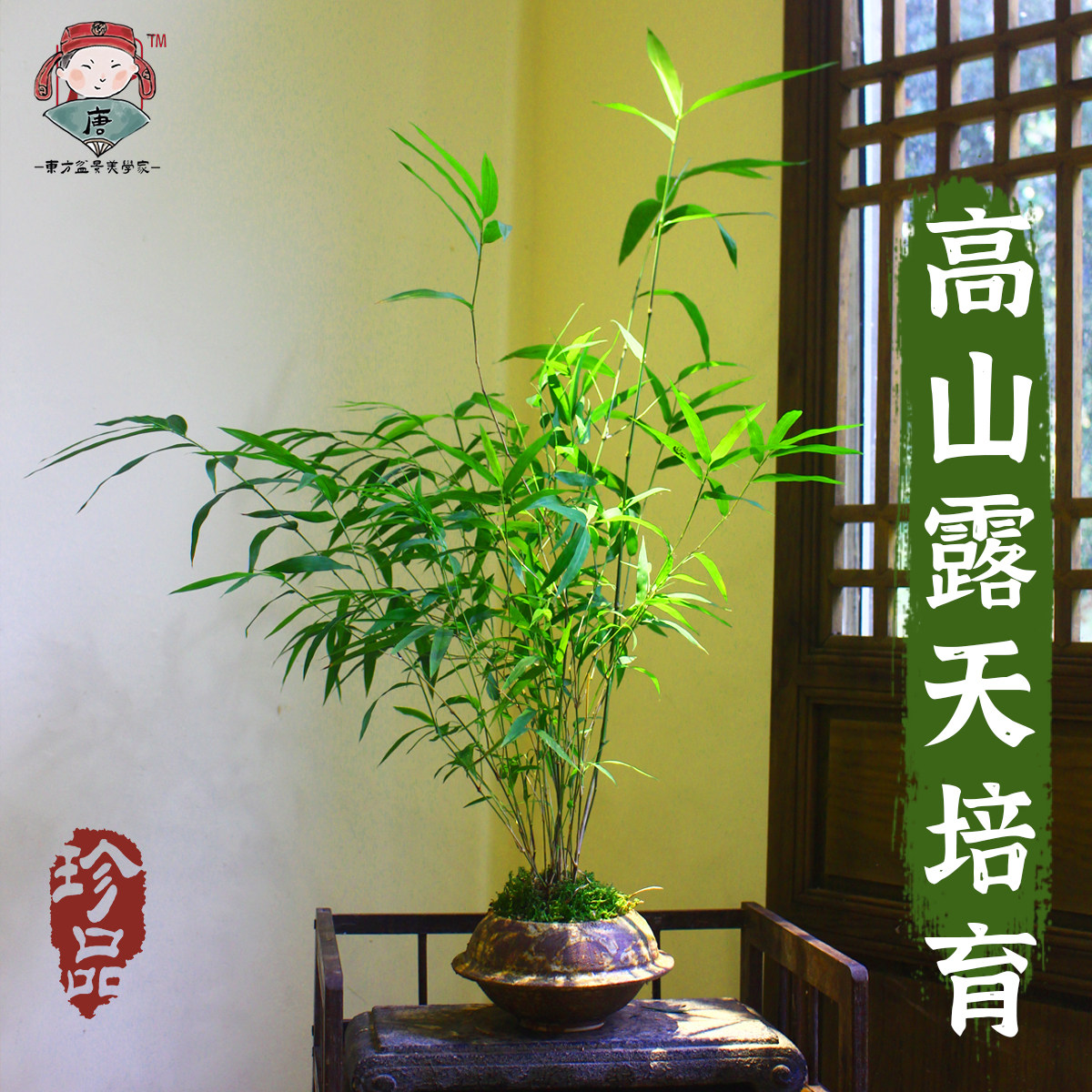 图3