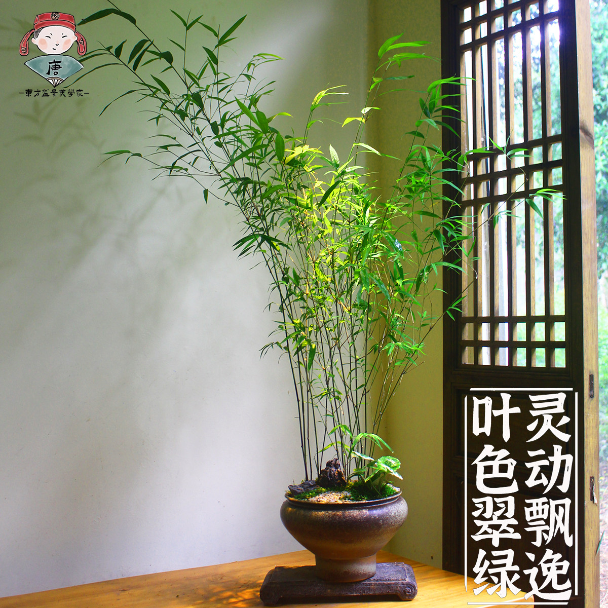 图5