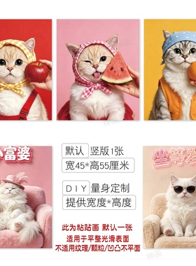 可爱猫咪油烟机改造装饰贴纸自粘