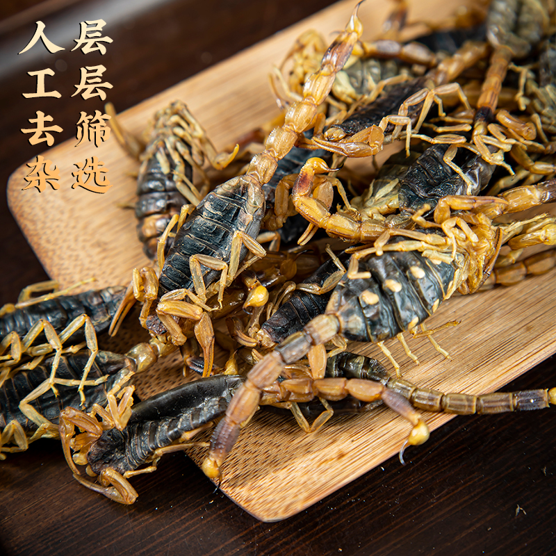 沂蒙十足全干全蝎中药材全蝎无盐清水蝎子全虫蝎子包邮干度可打粉 - 图0