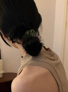 高级感进口丝绒肠圈大肠发圈