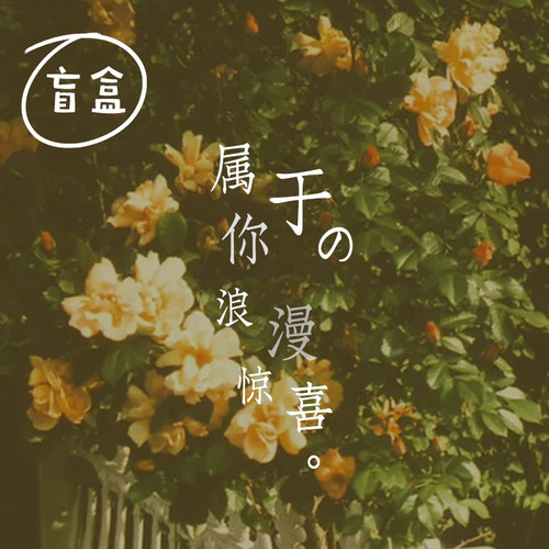 花气｜鲜花盲盒福袋当季花材随机搭配老客团购家庭插花昆明速递 - 图1