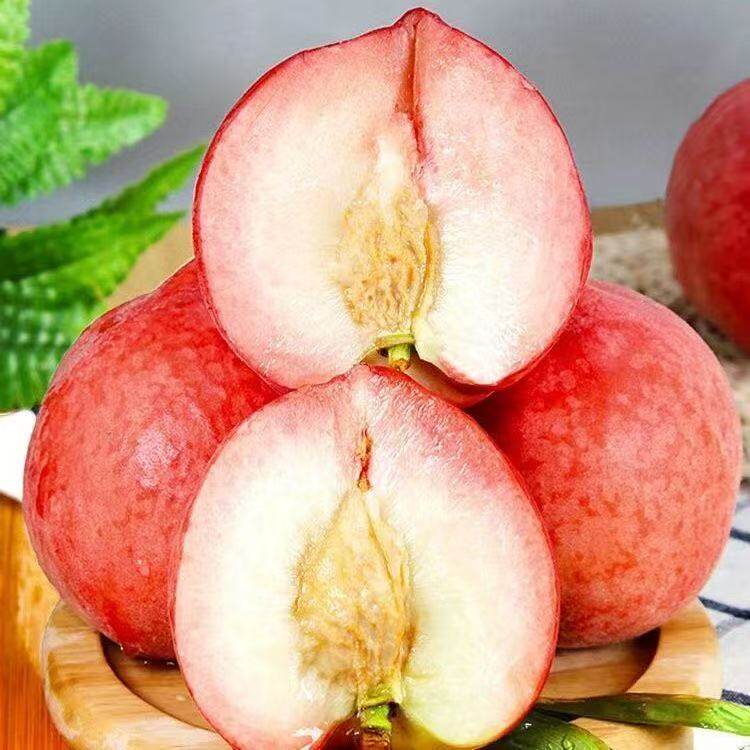 现货春雪毛桃水蜜桃新鲜水果孕妇脆甜冬桃子当季整箱顺丰