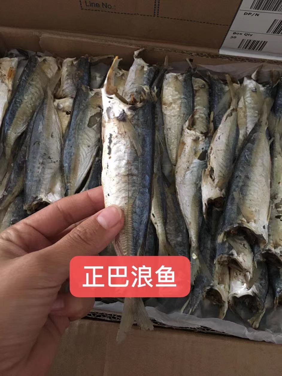 【肉多鲜香】福建特产咸巴浪鱼干干货无头熟鱼干咸鱼干小海鱼海鲜-图1