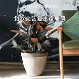Qingye [Кампания] Дерма Император римский итальянский импортный легкий роскошный