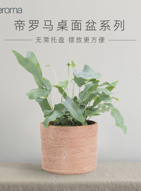 帝罗马家居花盆陶土意大利进口