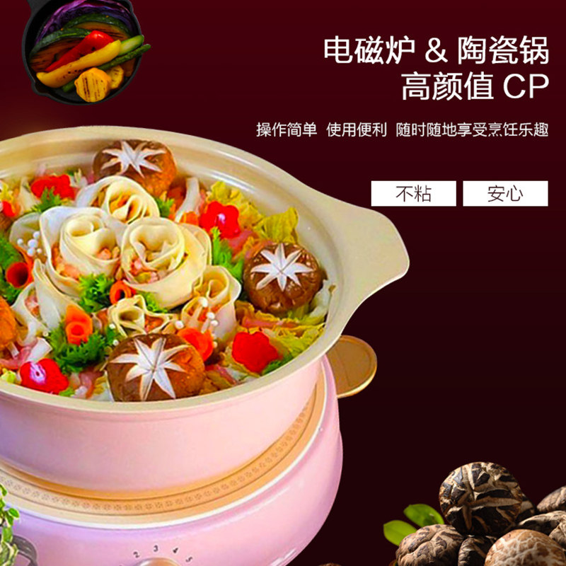  爱丽思电器电磁炉/陶炉