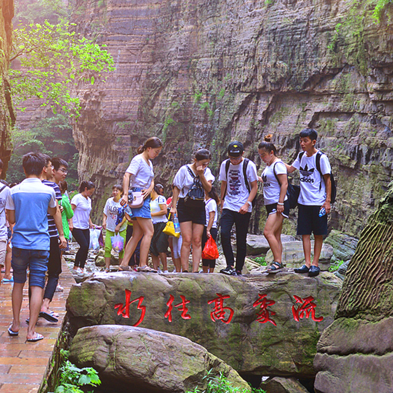 洛阳往返当地龙潭大峡谷一日周边旅游河南暑期游玩年票纯玩不进店 - 图3