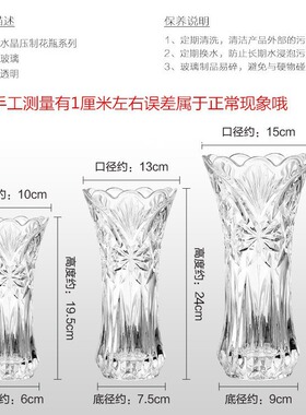 中号富贵竹百合透明玻璃花瓶竹子插花餐厅客厅现代欧式简约水培