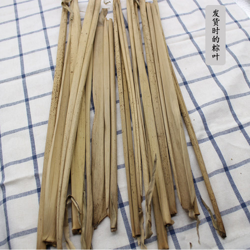 河南信阳大粽叶端午节天然野生粽绳干毛竹叶楠竹壳包邮五十张老林 - 图1