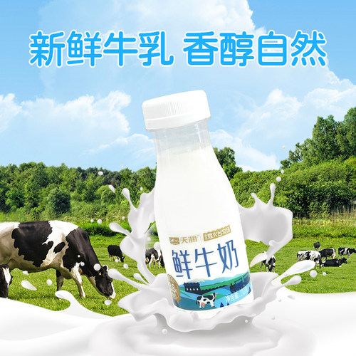 天润新疆牧场巴氏鲜奶杀菌低温灭菌老人儿童鲜牛乳210g*6瓶 - 图1