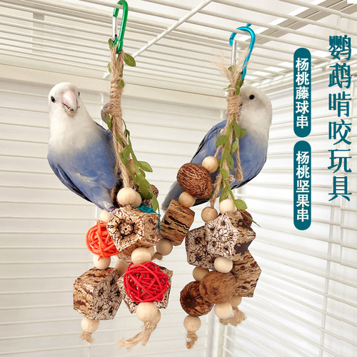 鹦鹉挂串啃咬玩具补钙墨鱼骨玄凤牡丹虎皮藤球玉米皮苹果枝鸟用品 - 图0