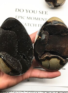 天然龟背石鸡蛋摆件 龟纹石原石原矿 乌龟洞鸡蛋物件实物 开口笑