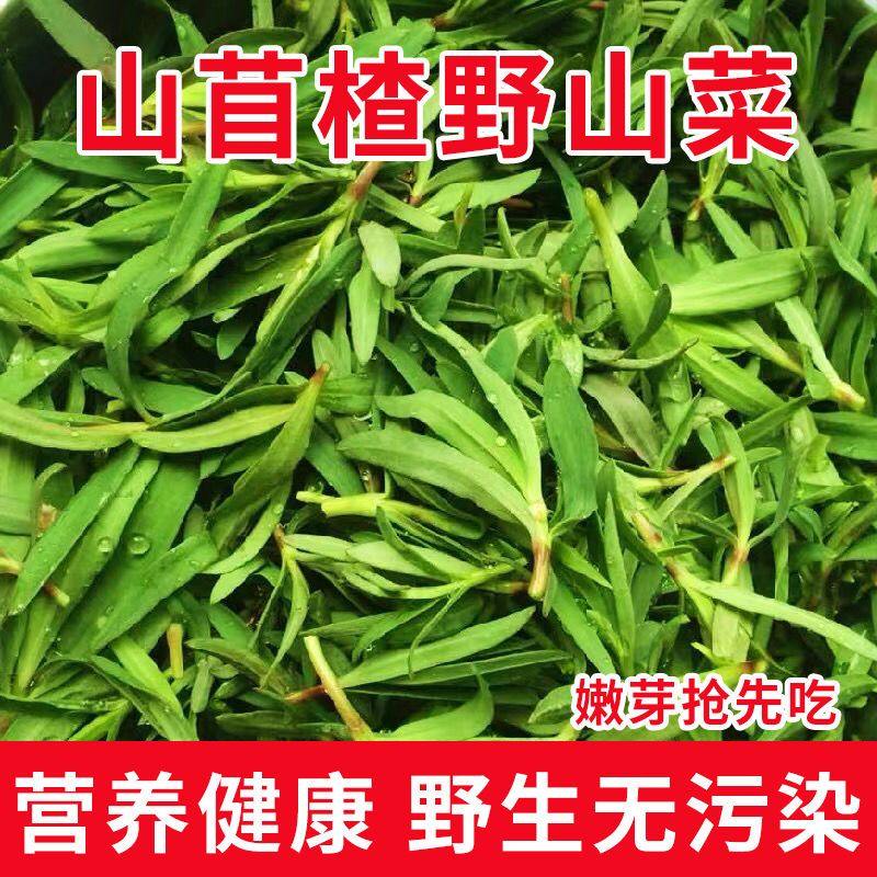 野生山苜楂菜山东野菜山菜蚂蚱菜山麻扎杂菜山麻楂新鲜现,淘宝优惠券,粉丝福利购,淘宝优惠卷