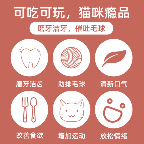 猫咪磨牙棒木天蓼猫薄荷棒棒糖食用幼猫啃咬洁齿小猫咬棒用品零食 - 图0