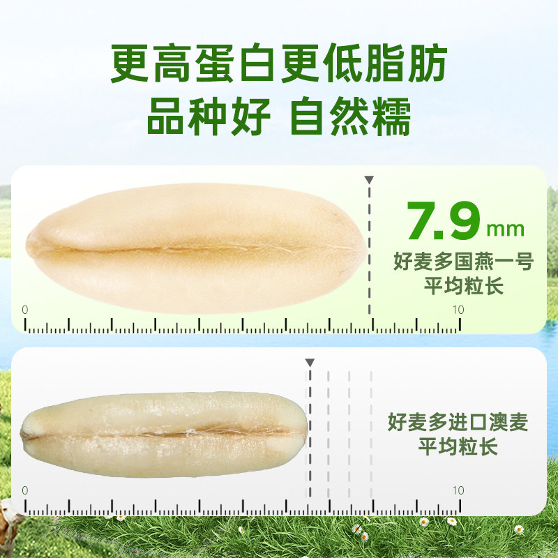 【推荐尝鲜】好麦多有机黑麦燕麦片120g纯麦独立小包装早餐即食k