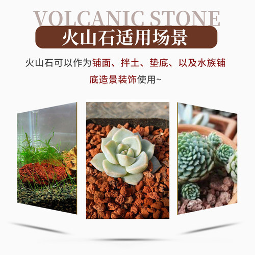 包邮20斤天然火山石轻质透气 多肉铺面伴土兰花颗粒土水族火山岩 - 图1