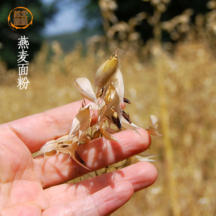 燕麦老面馒头原味农家手工粗粮馍馍莜麦玉麦五谷杂粮包健身代餐-图2