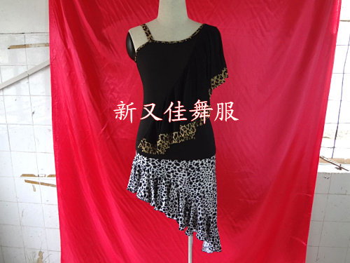 2013年新款新又佳国标舞服拉丁舞裙交谊舞服摩登舞表演拉丁练习裙 - 图0