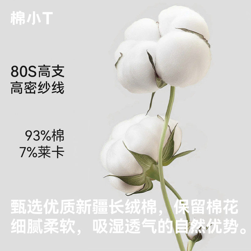 2026新款夏季短袖圆领修身正肩莱卡液氨新疆长绒棉T恤抗皱吸湿-3