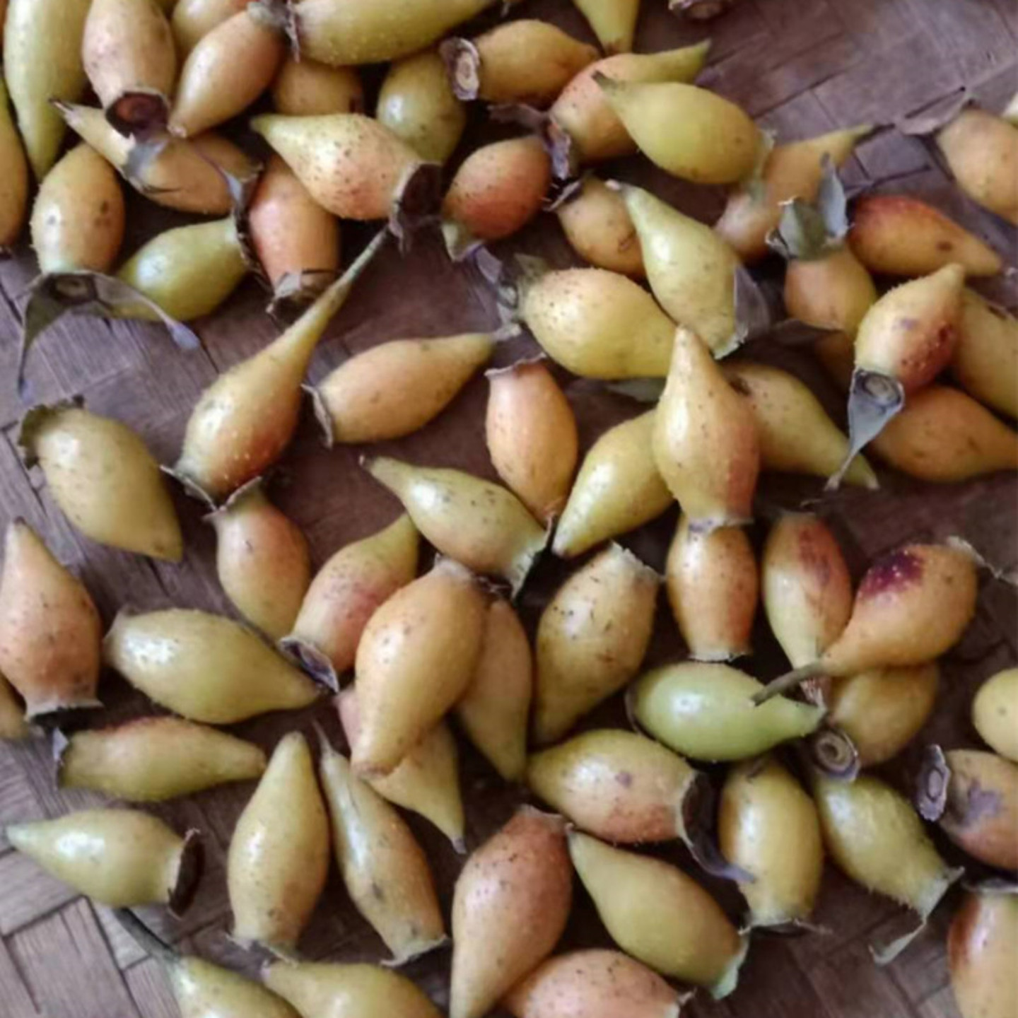 现摘野生新鲜金樱子全红果泡酒中药材刺梨金英子糖罐子山石榴鲜果,淘宝优惠券,粉丝福利购,淘宝优惠卷