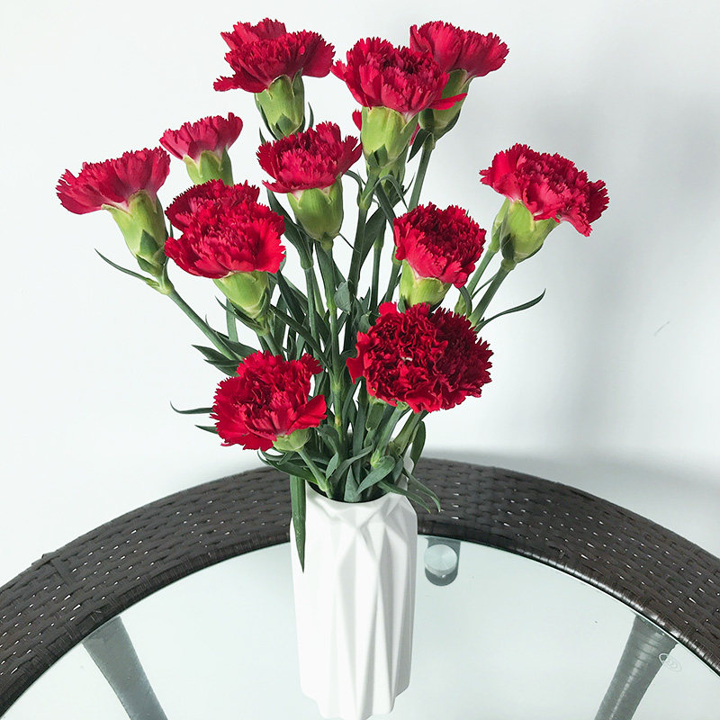 康乃馨云南批发送妈妈送老师长辈家养鲜切花速递家庭花瓶插花,淘宝优惠券,粉丝福利购,淘宝优惠卷