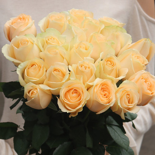 云南昆明鲜花基地直发红玫瑰花水养百合花束鲜切花向日葵 - 图3
