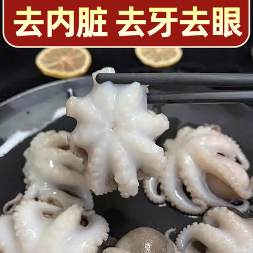 八爪鱼新鲜小章鱼海鲜水产鲜活小八爪鱼冷冻墨鱼仔八抓迷你大爆头 - 图0