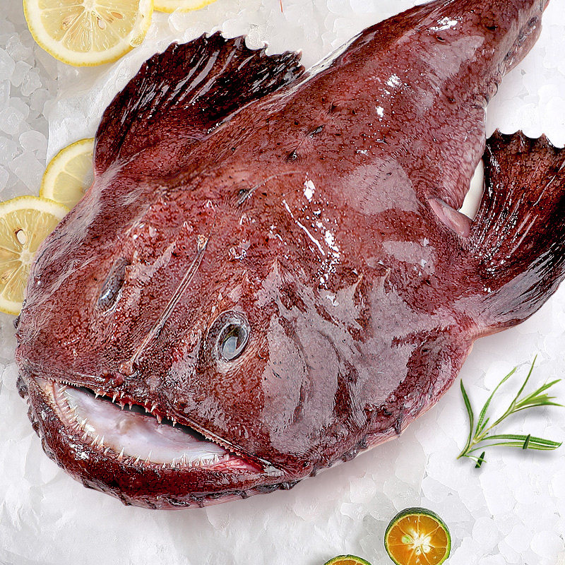 安康鱼新鲜蛤蟆鱼魔鬼鱼鲜活深海鱼大嘴鱼无小刺鱼肝鱼肚海鲜水产,淘宝优惠券,粉丝福利购,淘宝优惠卷