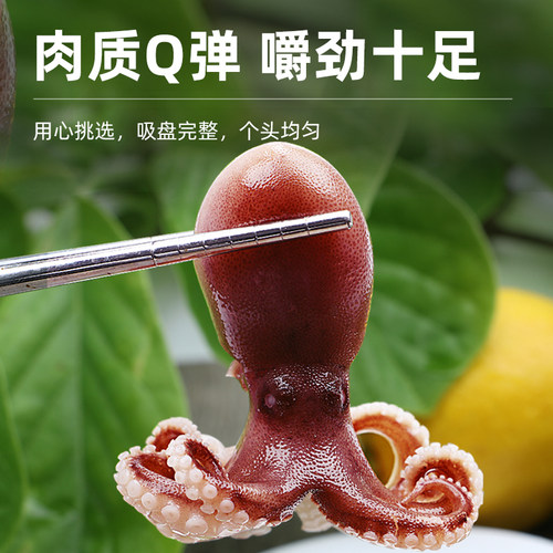 八爪鱼新鲜小章鱼海鲜水产鲜活小八爪鱼冷冻墨鱼仔八抓迷你大爆头 - 图2