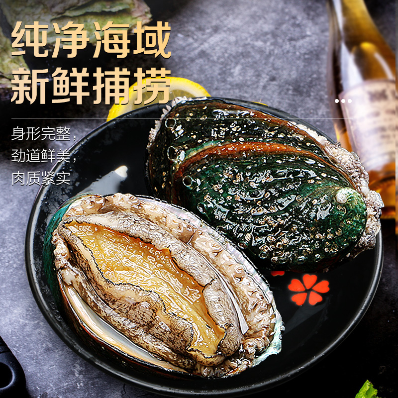 新鲜鲍鱼鲜活超大海鲜水产生鲜活特大加热即食干小鲍鱼捞汁饭批发 - 图1