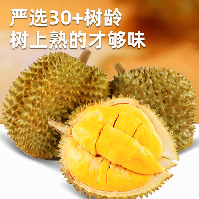 Thai Golden Pillow Durian Fresh Fruit has at least 5 rooms!