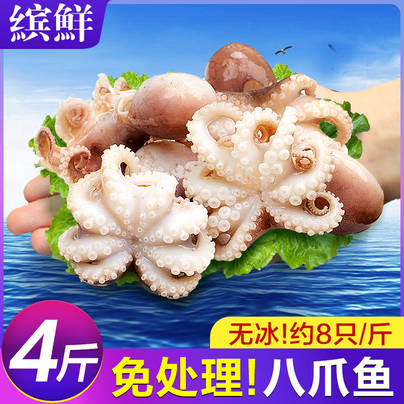 八爪鱼新鲜小章鱼海鲜水产鲜活小八爪鱼冷冻墨鱼仔八抓迷你大爆头,淘宝优惠券,粉丝福利购,淘宝优惠卷